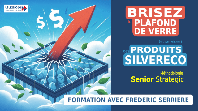 Formation Silver économie